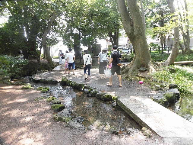 三島・桜川の川床(かわどこ) 田宿川でもやってみたい!_f0141310_07465723.jpg
