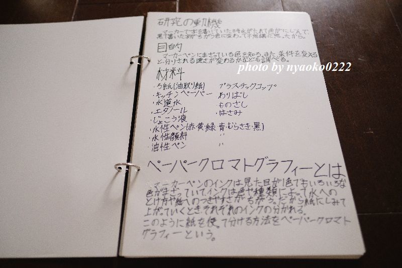 夏の自由研究 小学5年生長男編 Nyaokoさんちの家族時間 夏の自由研究 小学5年生長男編 Nyaokoさんちの家族時間