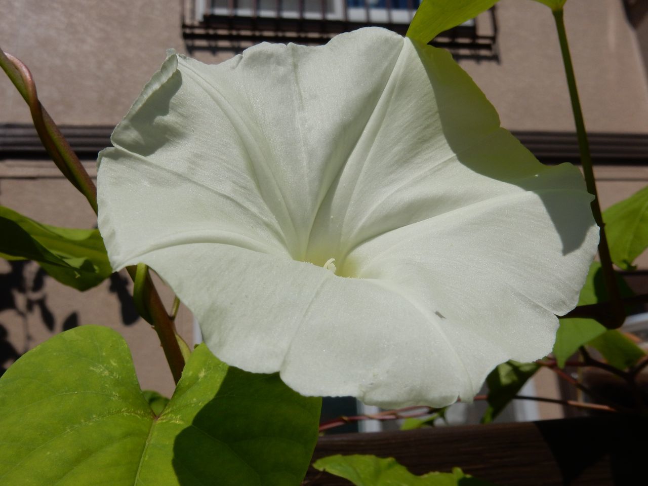 夏日の昨日から一転して寒い雨の日_c0025115_21181423.jpg