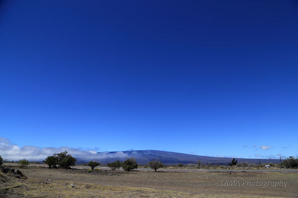 c0024729_13453640.jpg