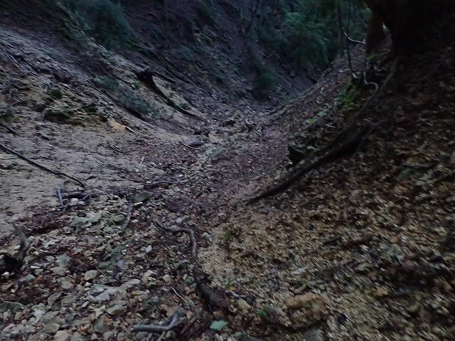 2019/8/26 神崎川~谷尻谷_e0403837_14420703.jpg