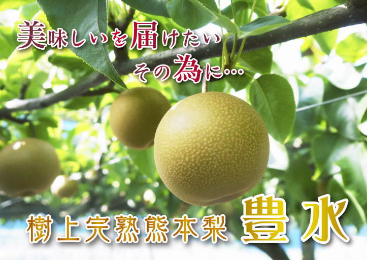無農薬・無化学肥料で育てた熊本産『ステビアにんにく』令和元年度、数量限定で販売スタートしました!! _a0254656_17275924.jpg