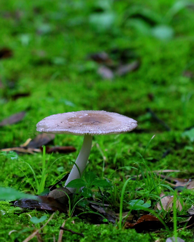 c0305565_17333437.jpg