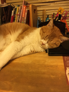 チームドクダミ草_f0363168_21043473.png