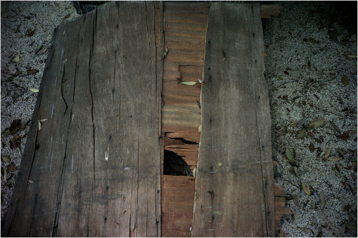 c0168172_17223410.jpg