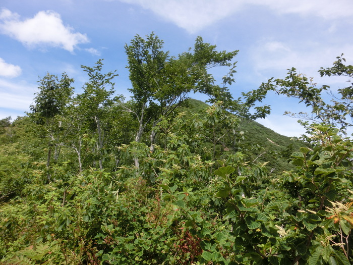 b0185573_4231523.jpg