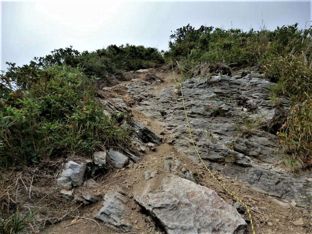 b0185573_4391764.jpg