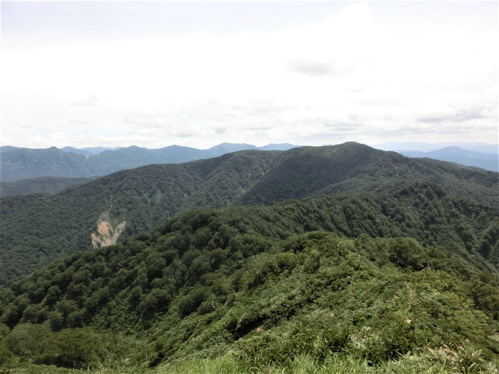 b0185573_534256.jpg
