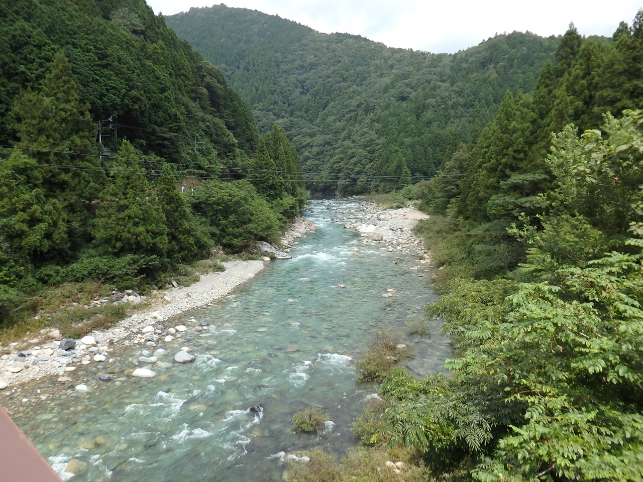 板取川の鮎釣り風景と洞戸のキウイ 自然風の自然風だより