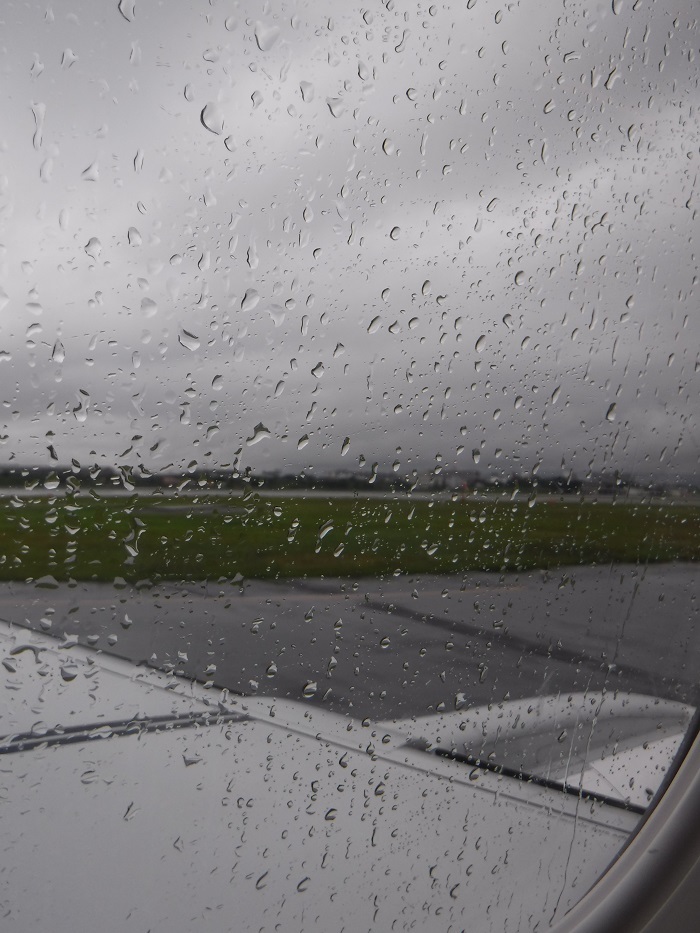f0238779_21370538.jpg