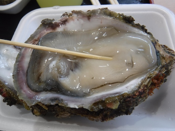 f0238779_21413866.jpg
