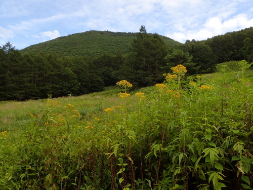 f0348480_20332833.jpg