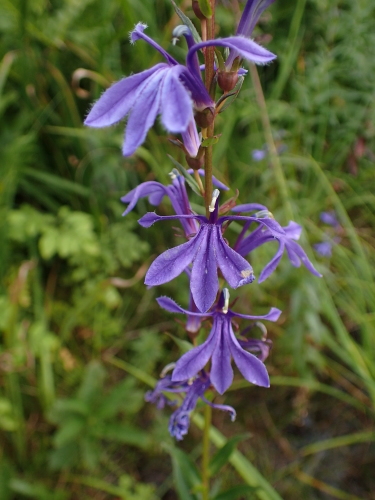 f0348480_20381121.jpg