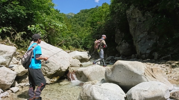 c0157482_12250232.jpg