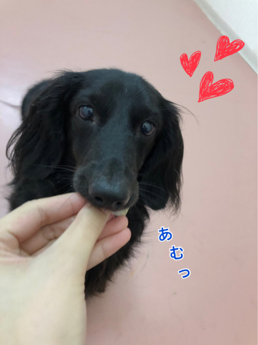 雨なんて関係ないっ!😊🌧_f0357682_22410348.jpg