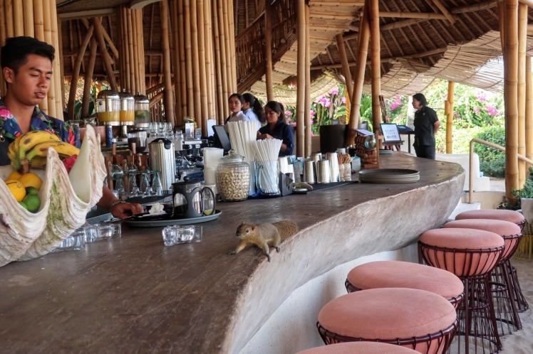 バリすてきな朝食　AzulBeachClub_e0414395_09465675.jpg