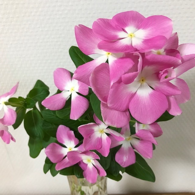ずっと雨_f0204295_14363415.jpg