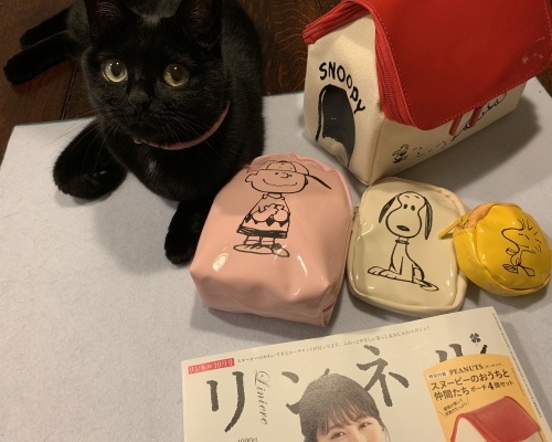 強いマメさん_e0358096_20321505.jpeg