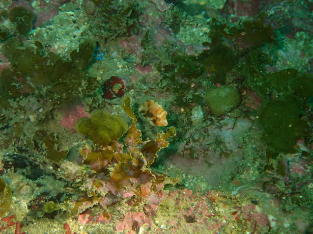 e0115199_17394596.jpg