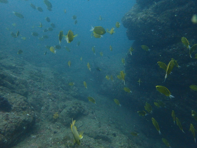 e0115199_17483165.jpg