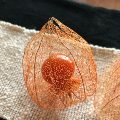 印刷可能 透かしほおずき 透かしほおずき 重曹 印刷可能 透かしほおずき 透かしほおずき 重曹