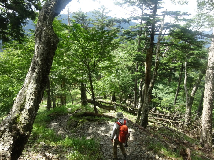 雲取山　日本百名山　2017ｍ_b0124306_09153765.jpg