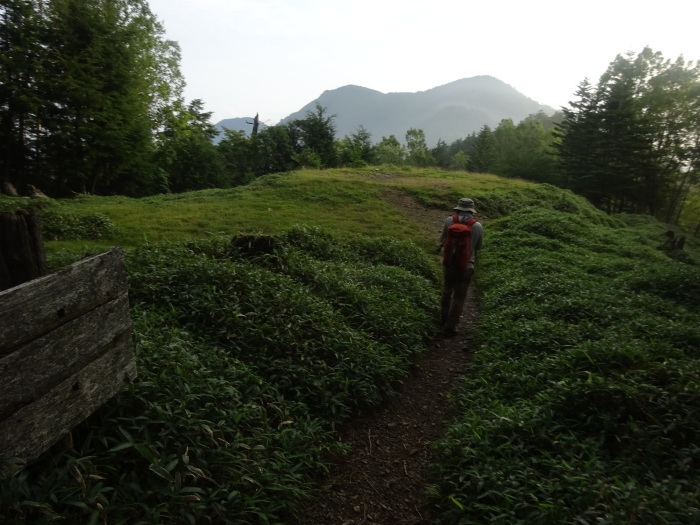 雲取山　日本百名山　2017ｍ_b0124306_10473212.jpg