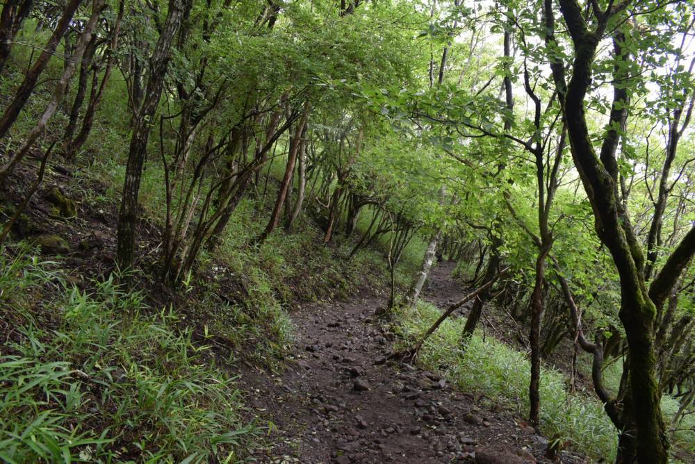 f0212511_18584622.jpg