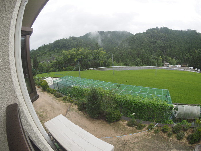 一日雨_c0116915_00083774.jpg
