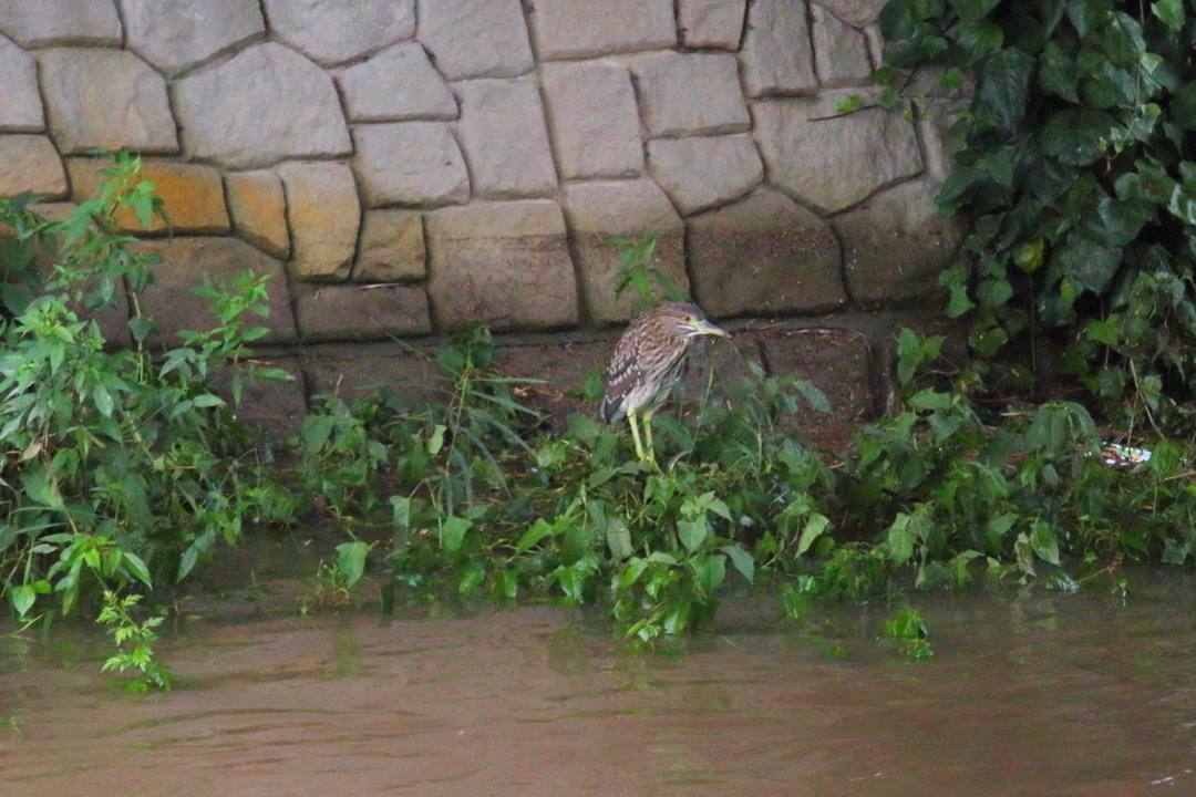 e0403850_20254232.jpg