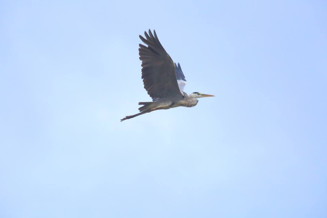 e0403850_20255155.jpg