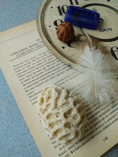 c0172261_13363660.jpg