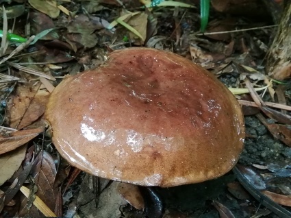 b0368362_20255470.jpg