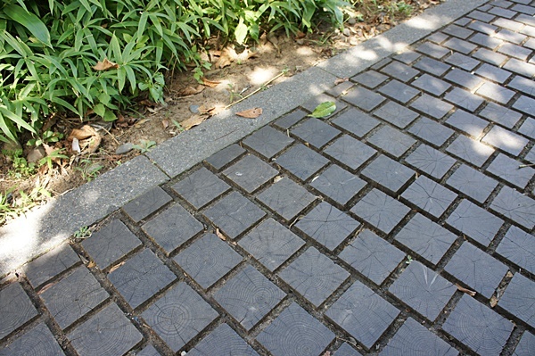 e0177271_07492358.jpg