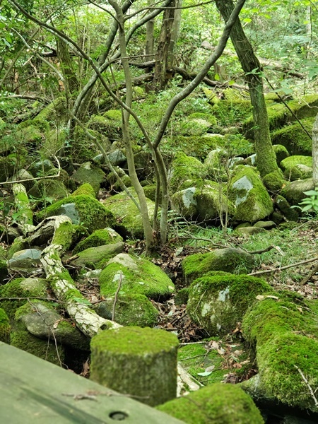 e0264374_12512167.jpg