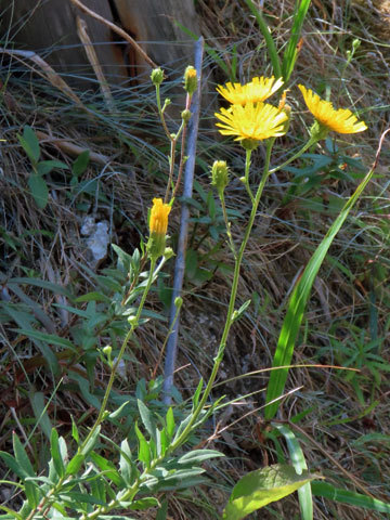 f0083977_06564415.jpg