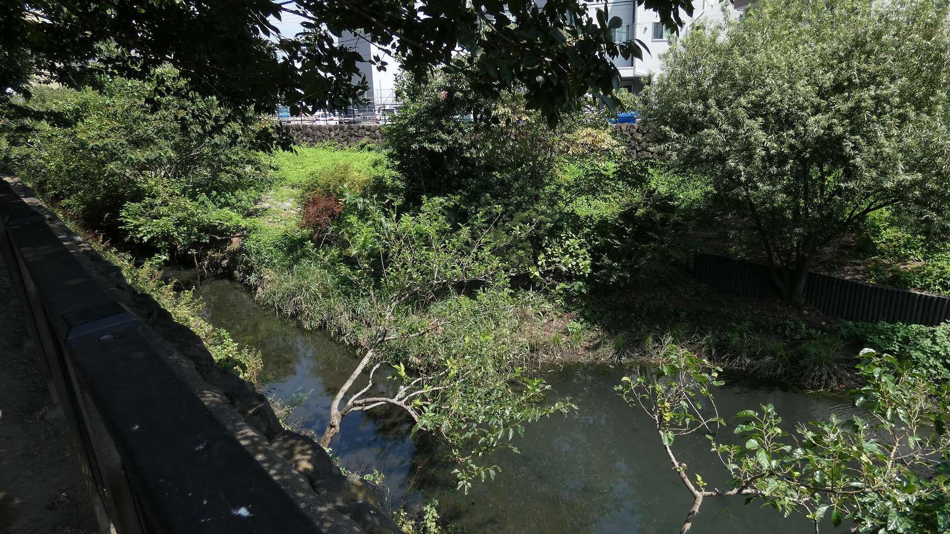 a0185081_14494107.jpg