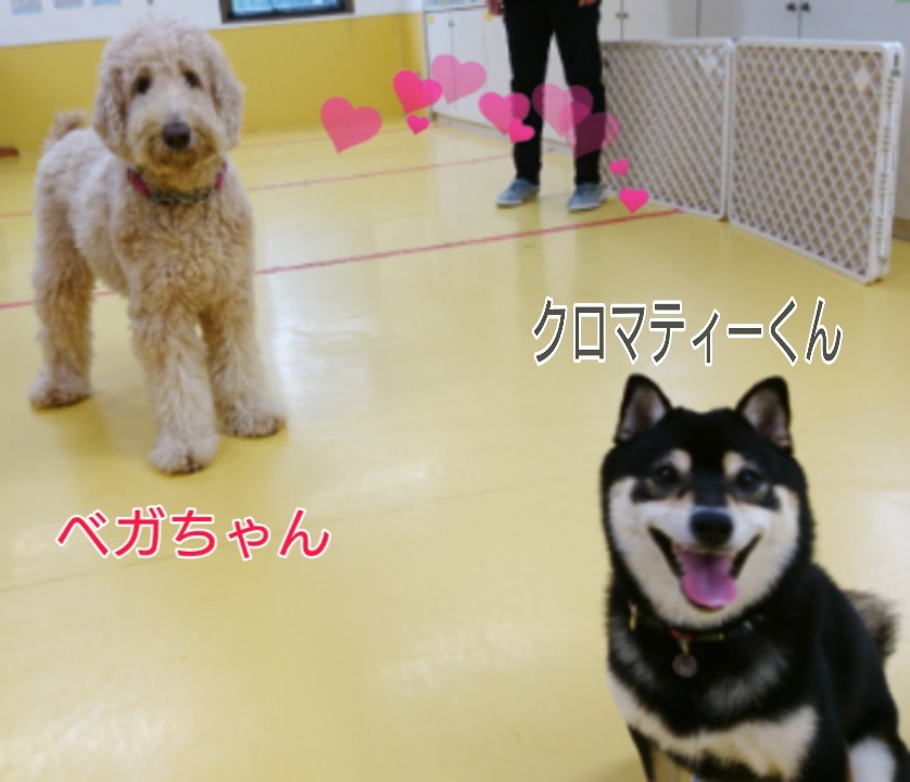 なかよし_f0357682_15311936.jpg