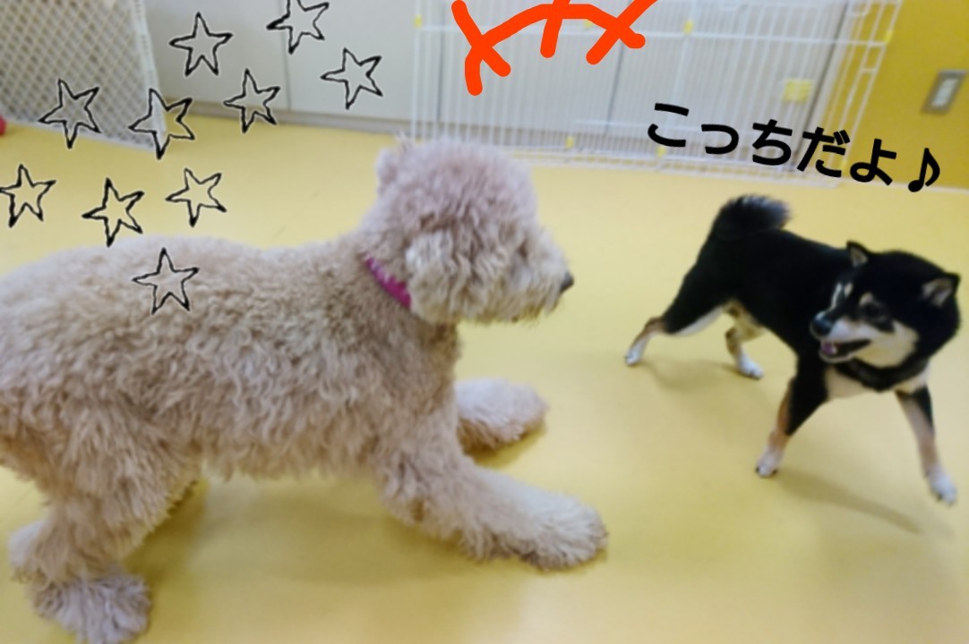 なかよし_f0357682_15321056.jpg