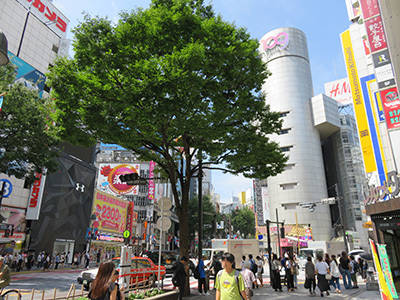 b0056983_11295895.jpg