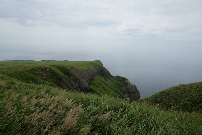 b0339488_22045695.jpg