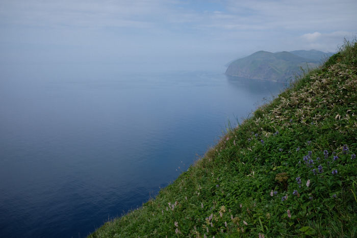 b0339488_22045745.jpg