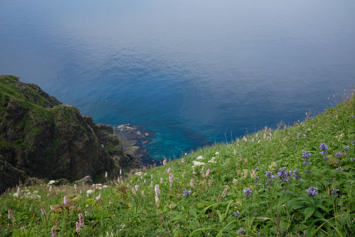 b0339488_22050738.jpg