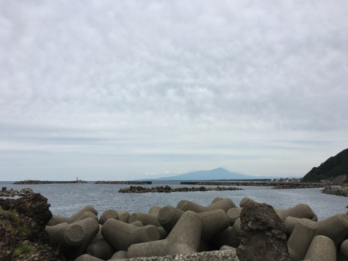 加茂水族館_b0111791_17075826.jpg