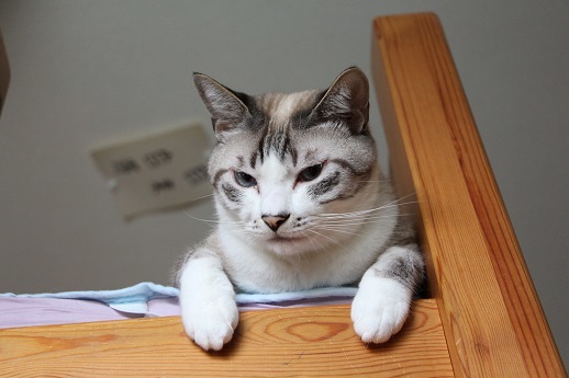 バレちゃったよ~~~!_a0333195_21163740.jpg