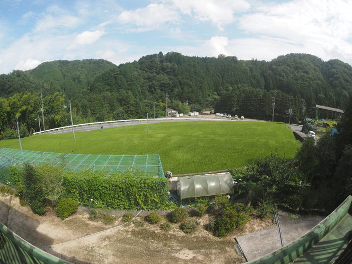 曇りのち晴れ_c0116915_23284031.jpg