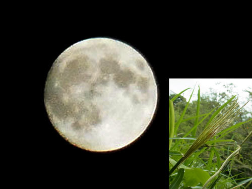 a0214919_20375728.jpg