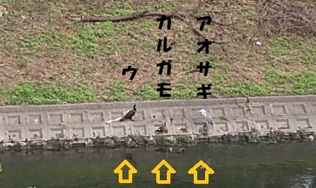 c0280322_23232254.jpg