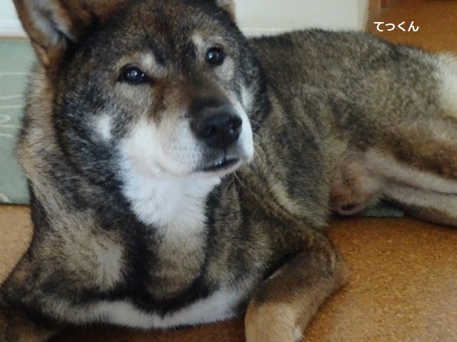 f0143123_19303201.jpg