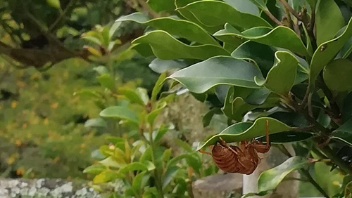 a0123836_14464879.jpg
